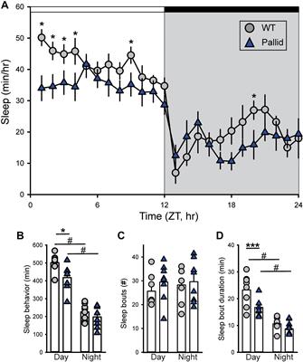 Sleep/Wake Disruption in a Mouse Model of BLOC-1 Deficiency